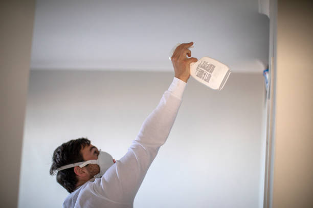 Best Mold Removal Near Me  in Panorama Village, TX