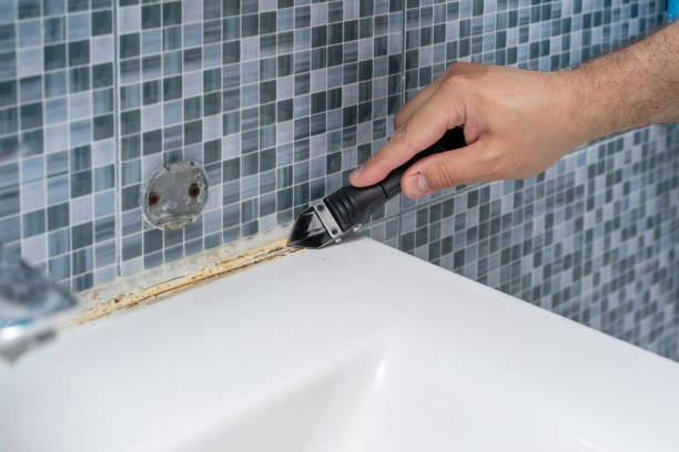 Professional Mold Removal in Panorama Village, TX